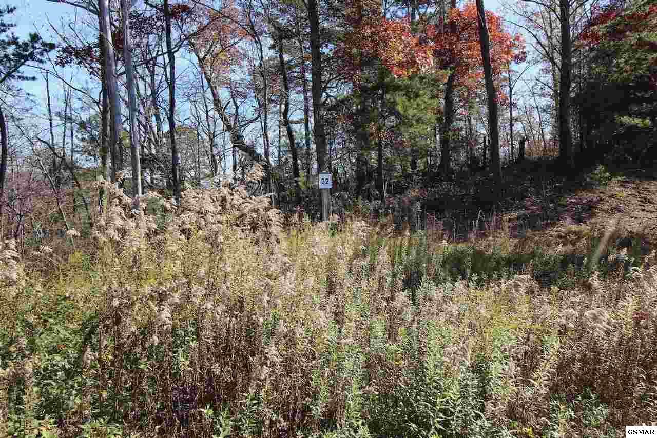 Lot 32 Mountain Ash Way - Photo 1