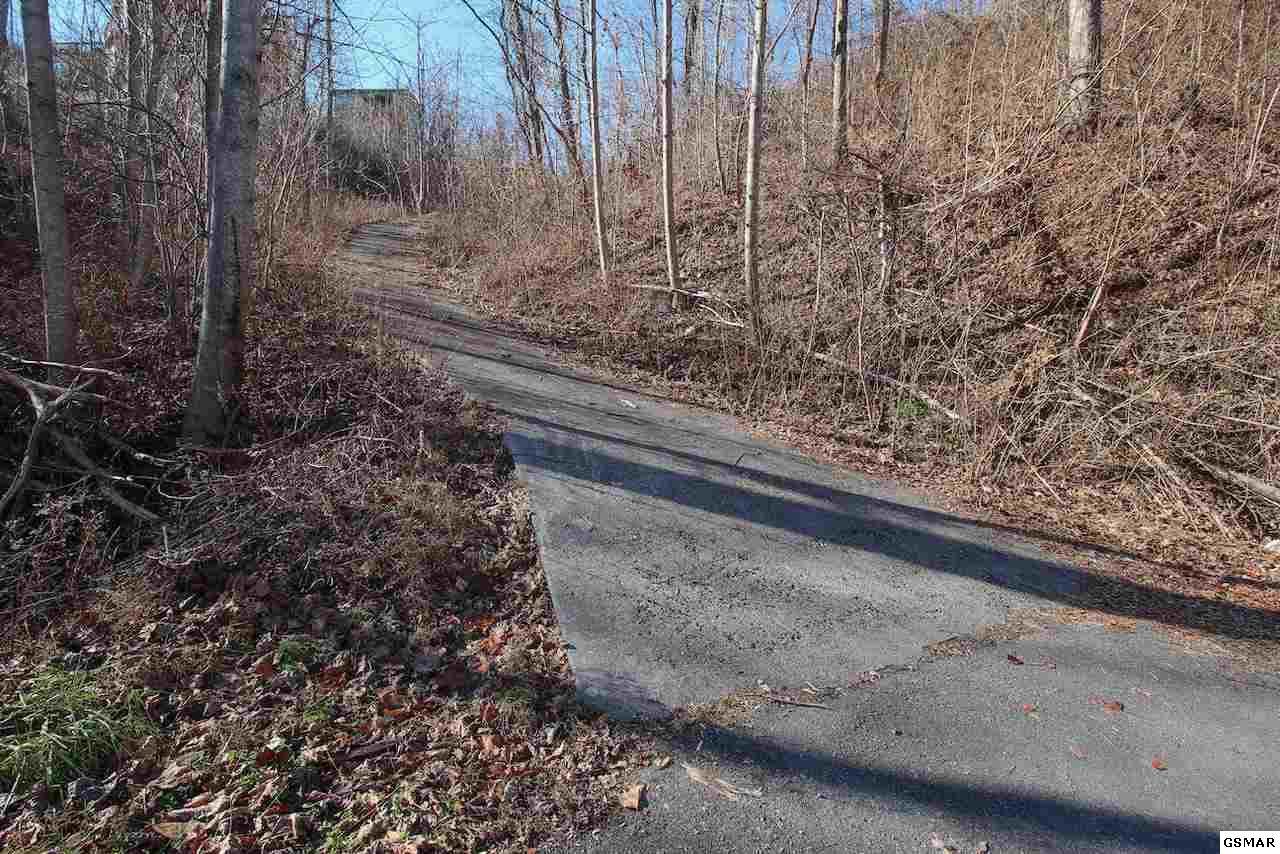 741 Chestnut Dr - Photo 1