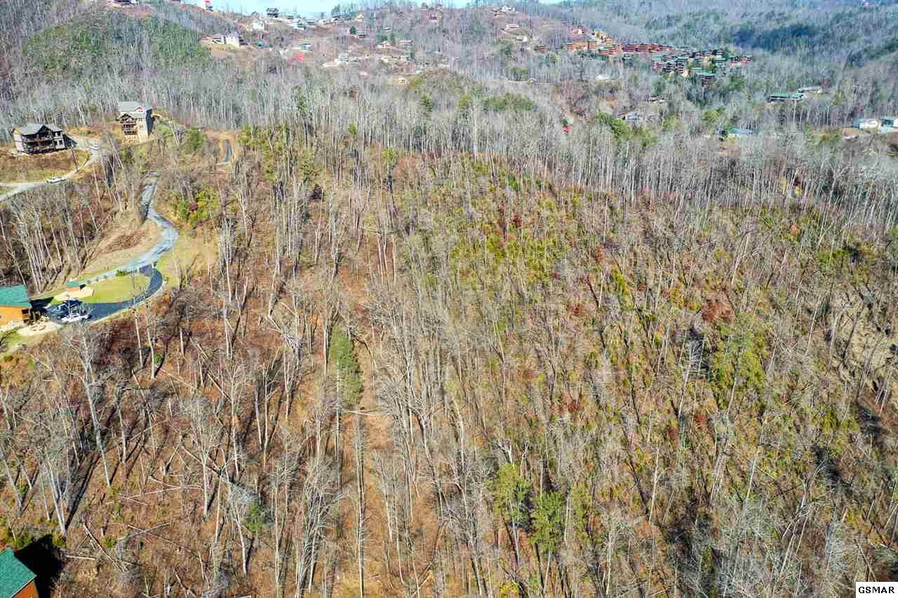 4.9 Acres Village Drive - Photo 1