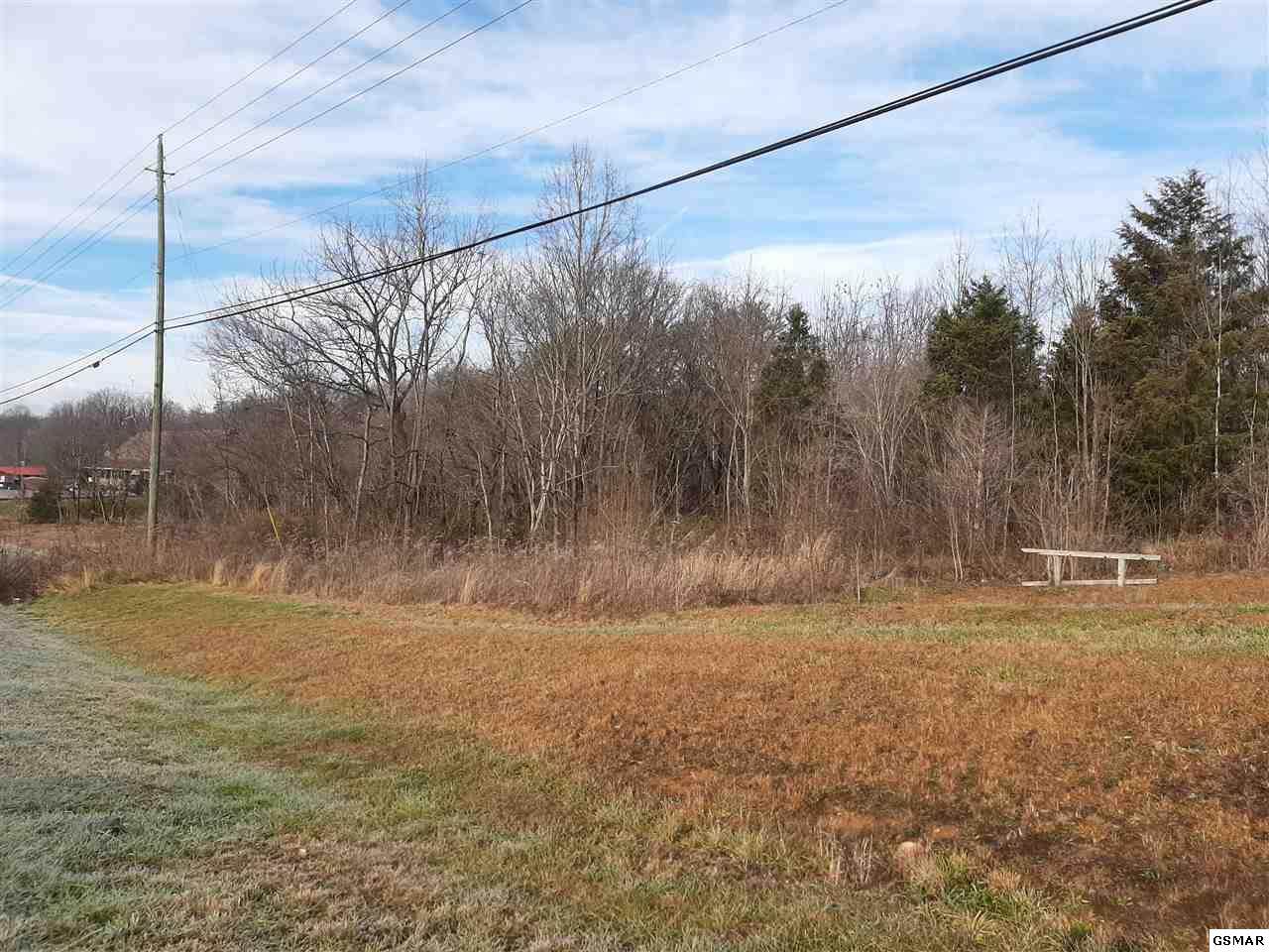 7827 Lamar Alexander Pkwy - Photo 1