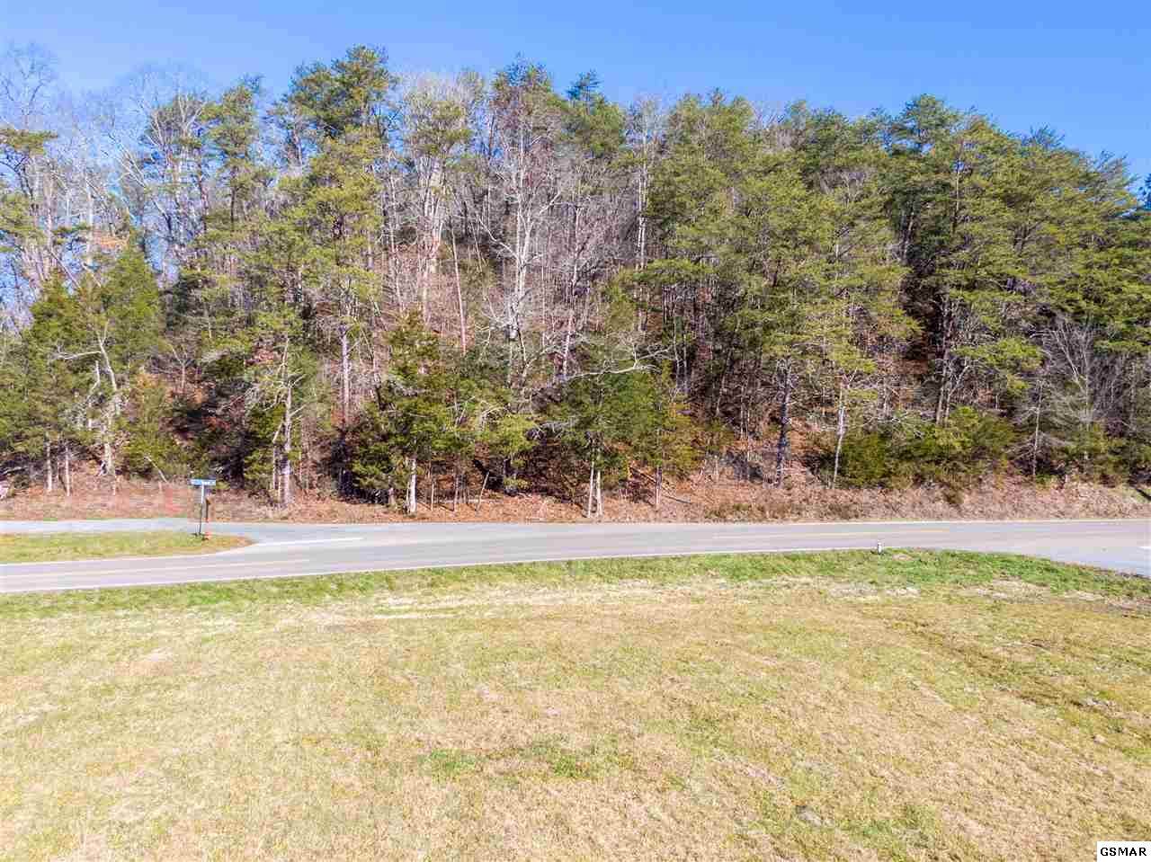 Jones Cove Rd - Photo 1