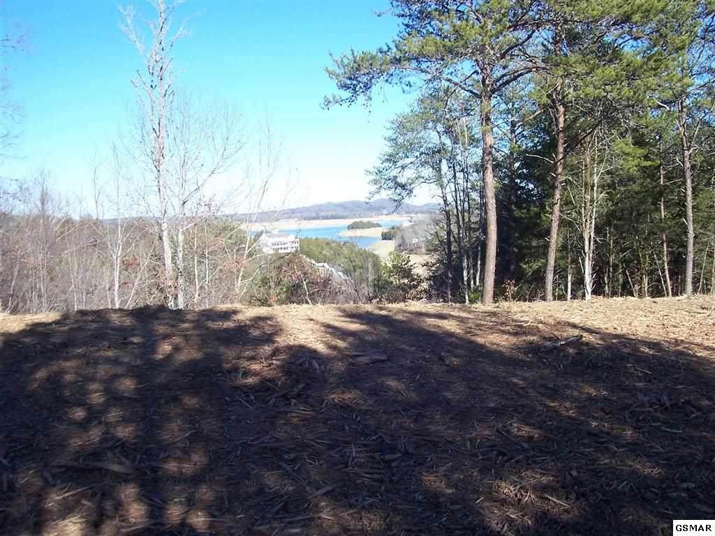 Lot 12 Harbor Point Dr - Photo 1
