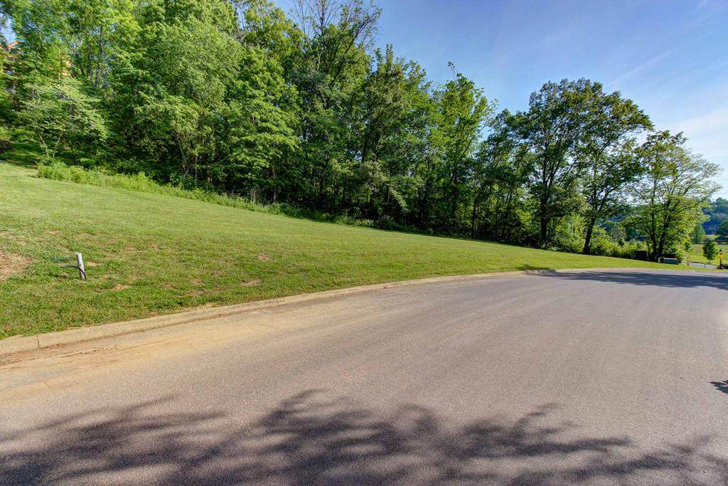 Lot 194R Wilderness Path Way - Photo 1