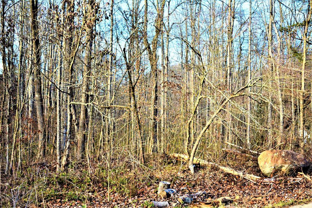 Lots 53 & 55 Lin Creek Rd. - Photo 1