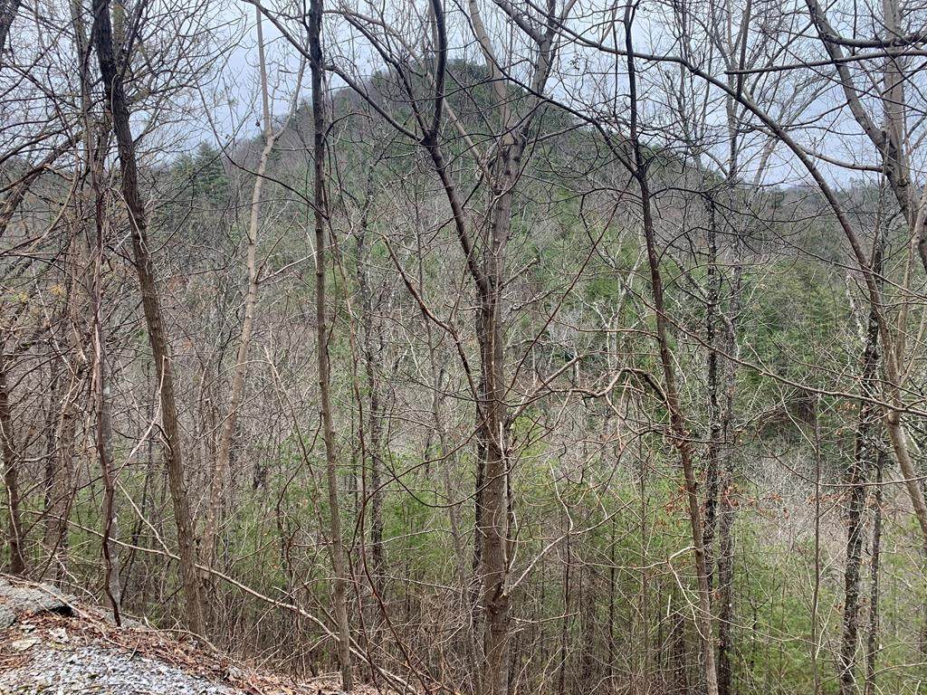 Lot 97E Black Powder Lane - Photo 1