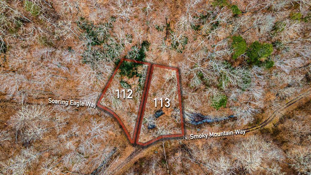 Lot 112&113 Soaring Eagle & N Smoky Mountain Way - Photo 1
