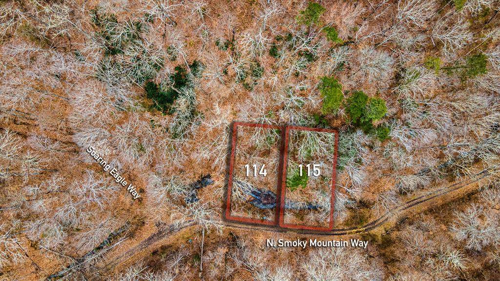 Lot 114&115 Smoky Mountain Way - Photo 1