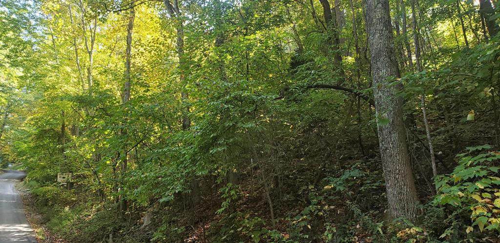 Lot# 832 Orchard Drive - Photo 1
