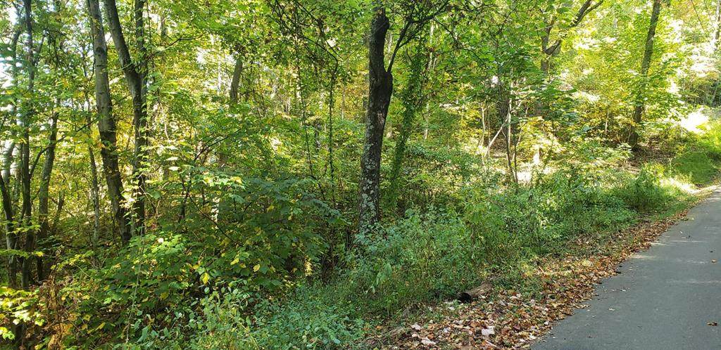 Lot# 836 Orchard Drive - Photo 1