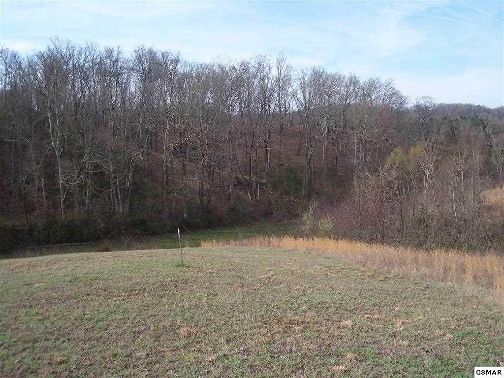Lot 63 Sanctuary Shores Way - Photo 1