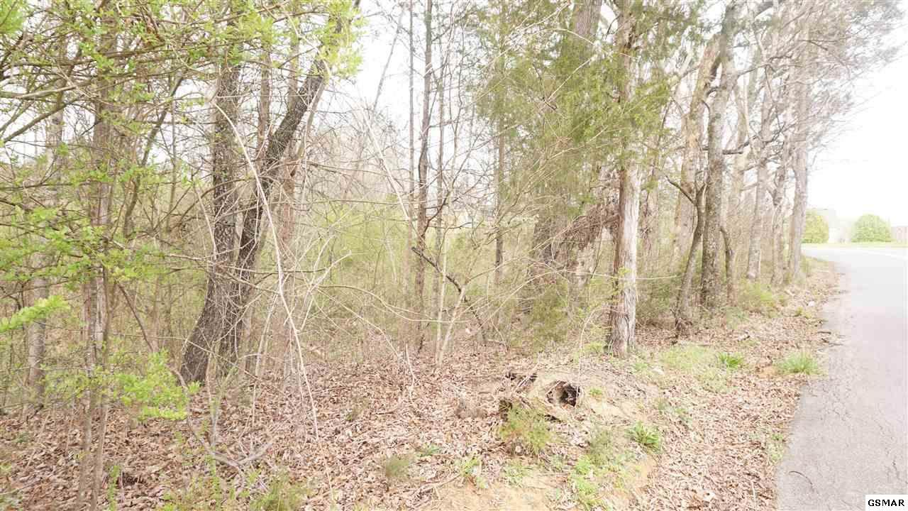 Lot 13 Flatwood Rd. - Photo 1