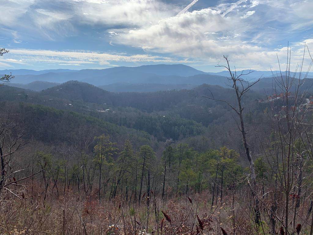 1060 Rayfield Hollow Rd - Photo 1