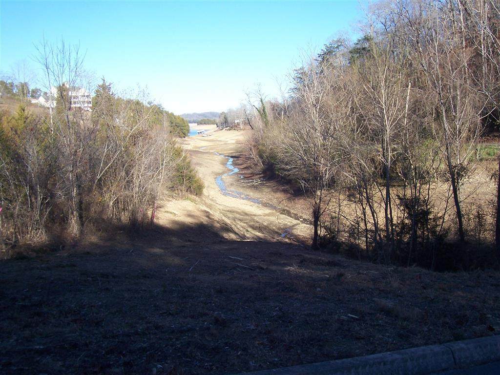 Lot 5 Pheasant Ct - Photo 1