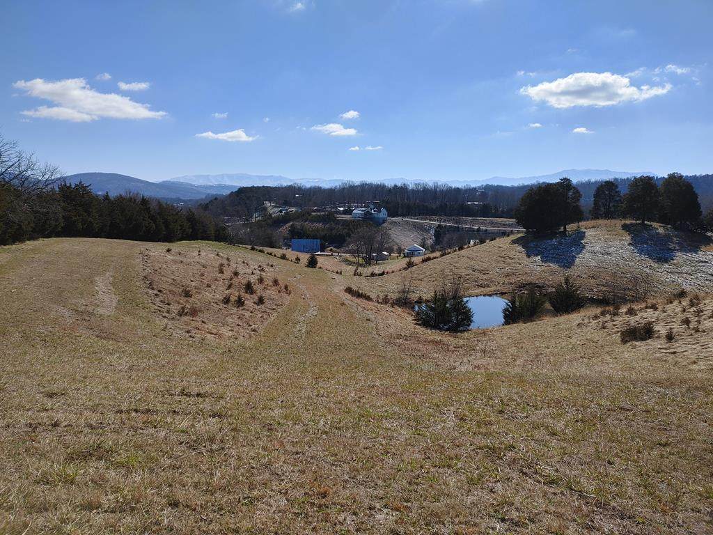 Flat Creek - Photo 1