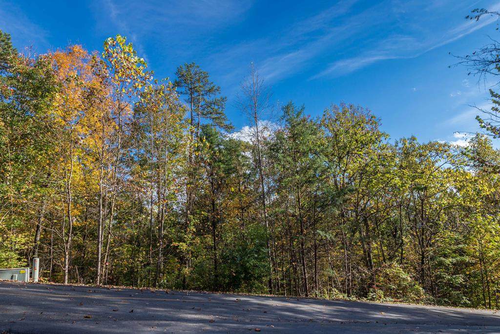 Lot 73E Redtail Road - Photo 1