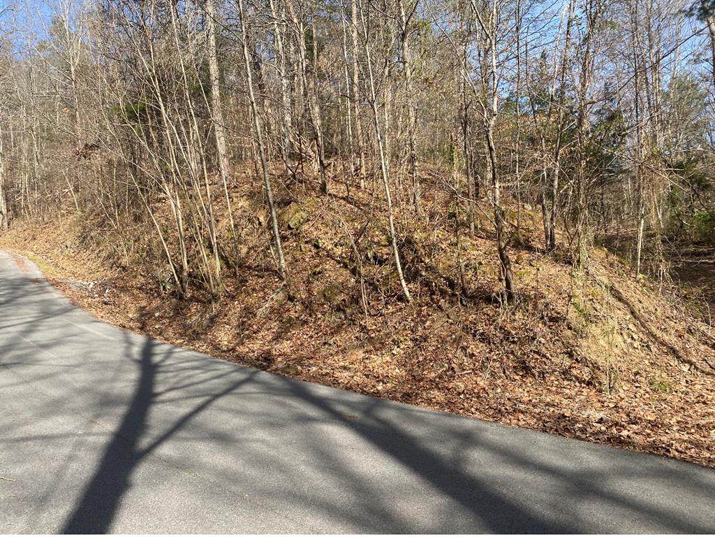 2410 Spence Mountain Loop - Photo 1