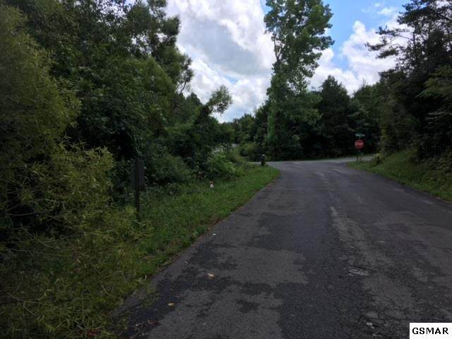 Lot 11 Buck Horn Rd - Photo 1