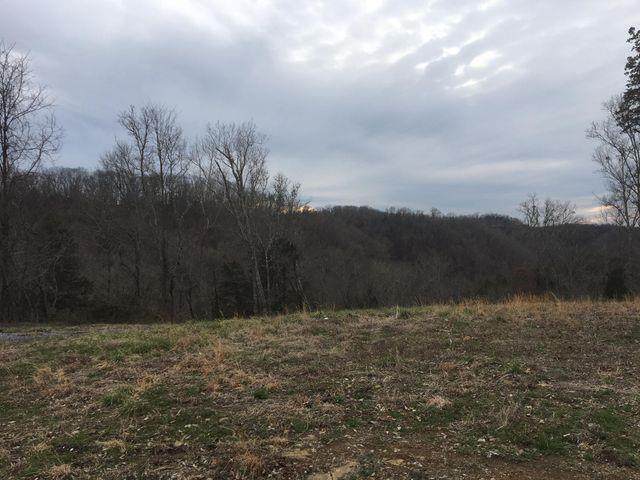 Mary Alice Lot 45 - Photo 1