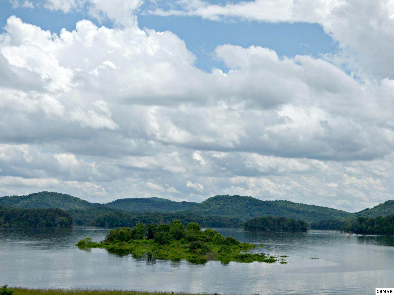 Lot 12 Turley Mills Dr - Photo 1
