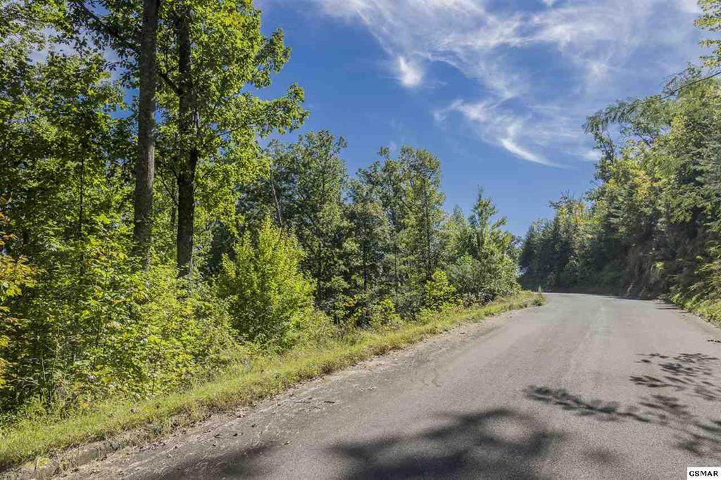 Lot #5 Teaberry Mountain Lane - Photo 1