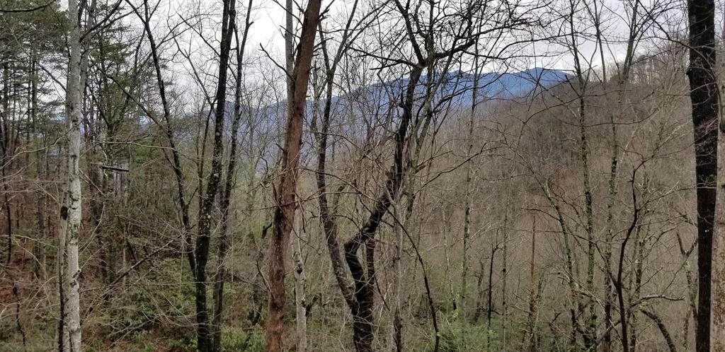 006 Alpenrose Rd - Photo 1