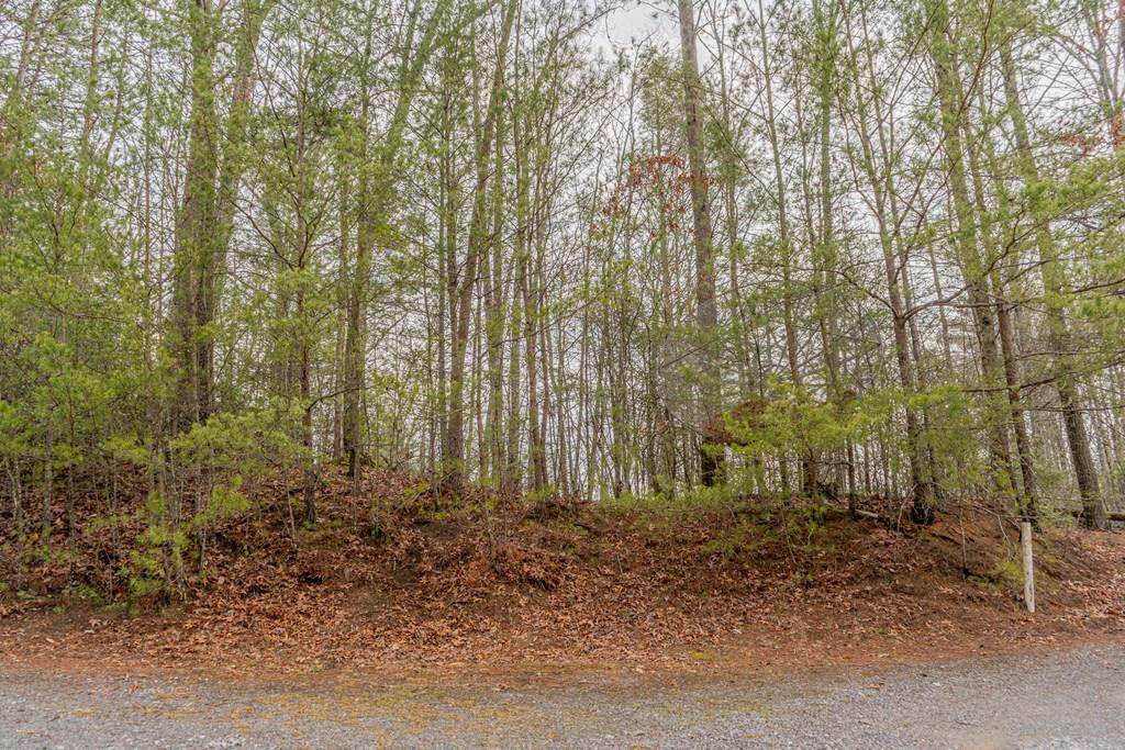Teaberry Hill Way - Photo 1