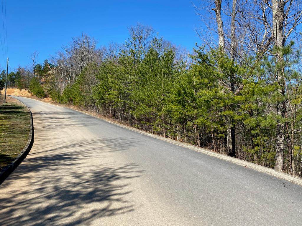 1706 Pinestand Ridge Way - Photo 1