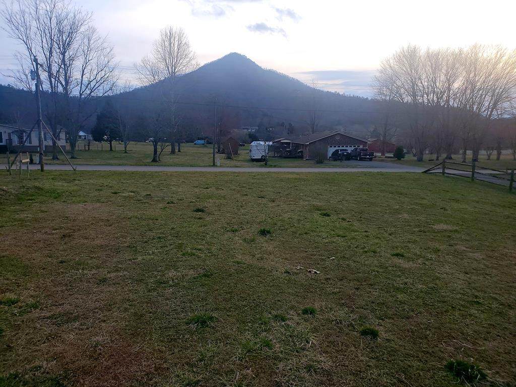 Lot 1 Katy Hollar Rd - Photo 1