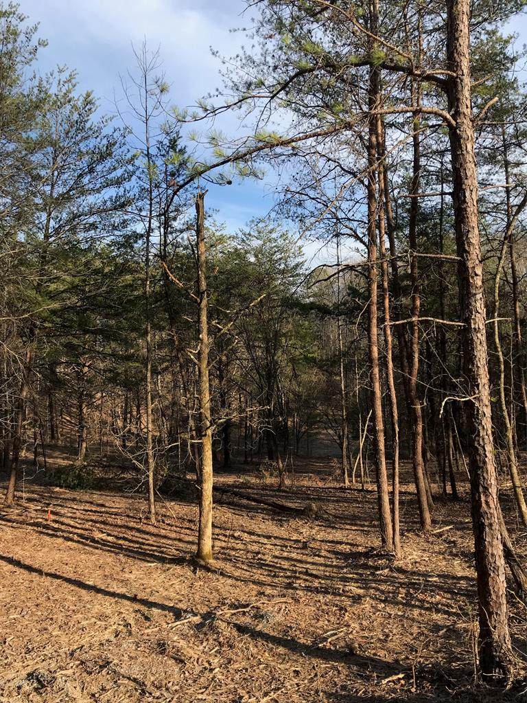 Lot 24 Sulpher Spring Way - Photo 1