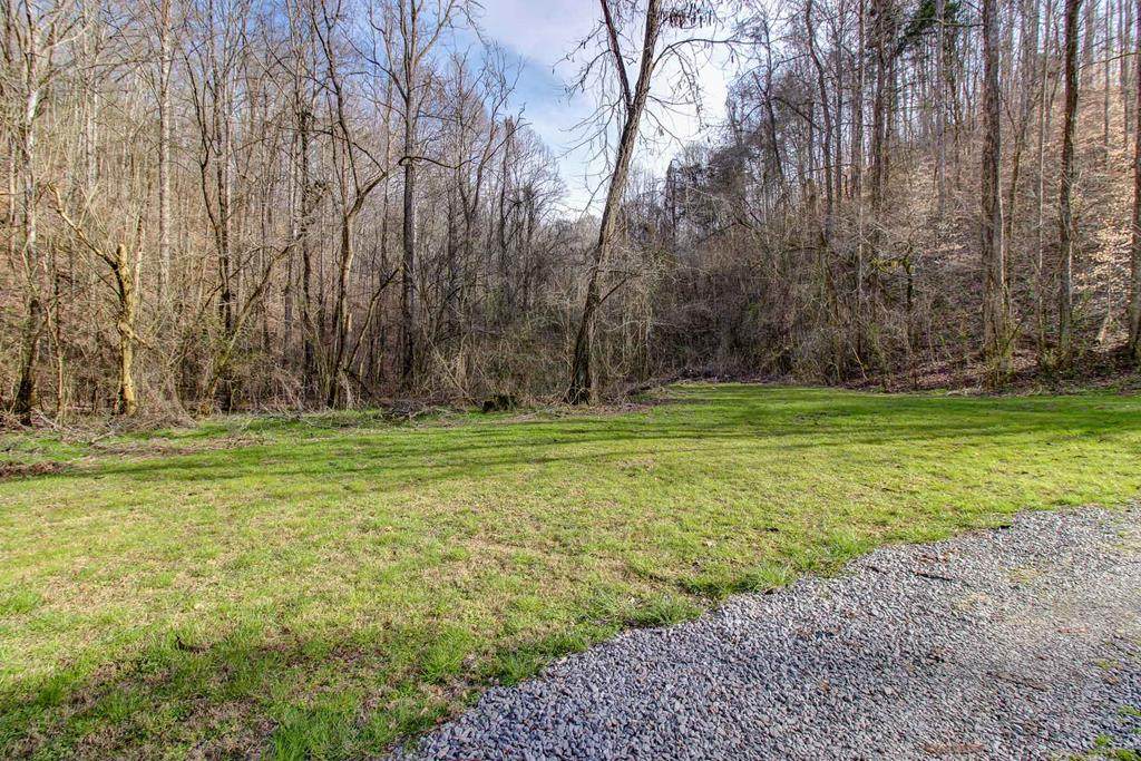 37 Acres Turkey Hollow Lane - Photo 1