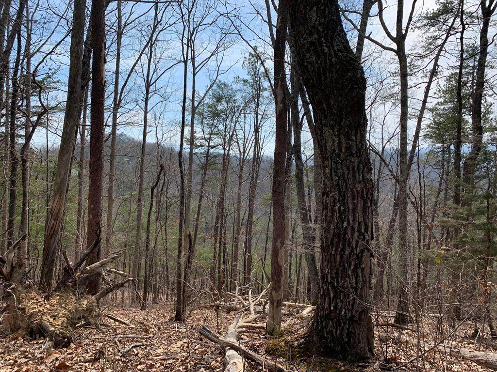 Lot 02/0020 Ridgecrest Way - Photo 1