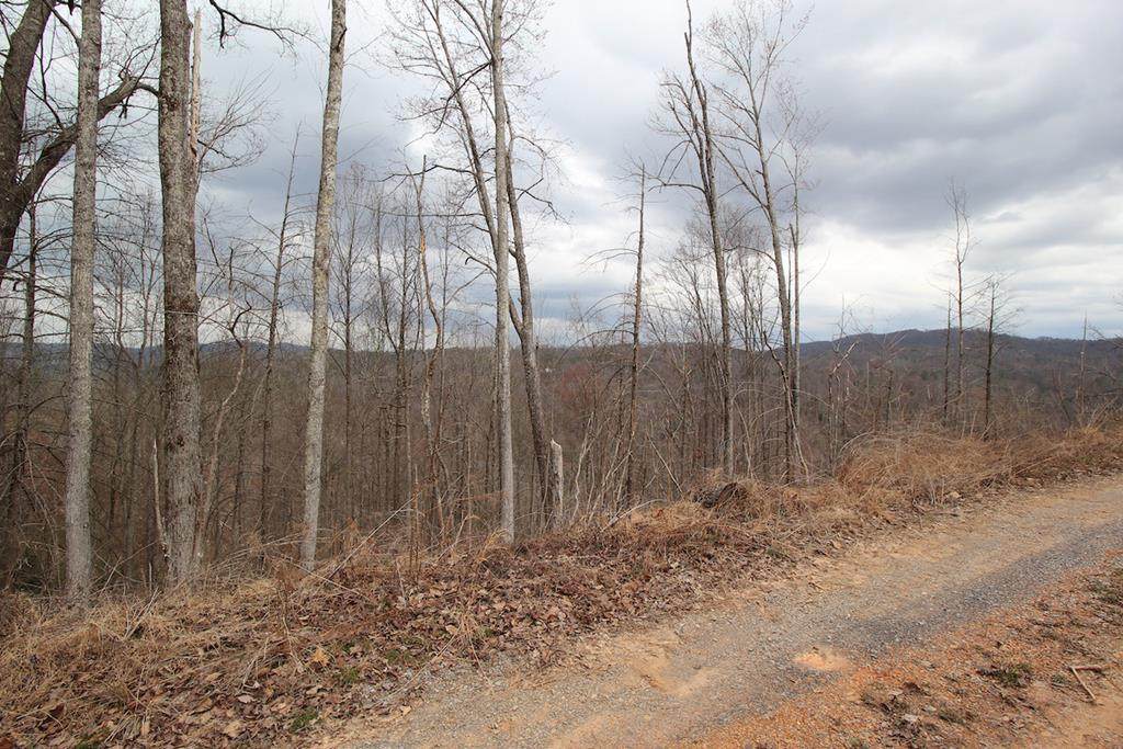Lot 17-C Laurel Way - Photo 1