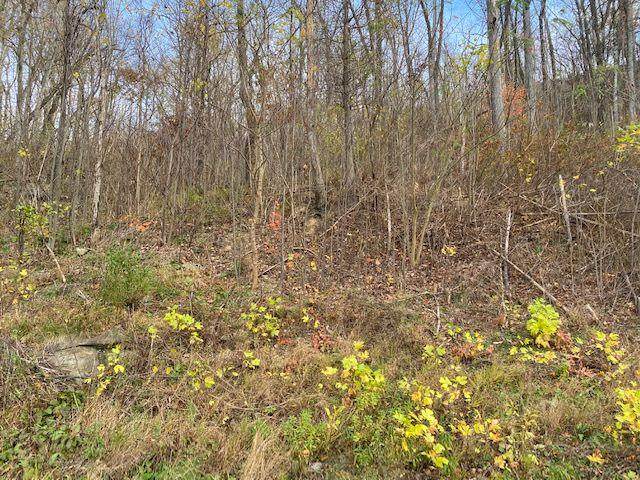 Lot 46 Juniper Ct - Photo 1