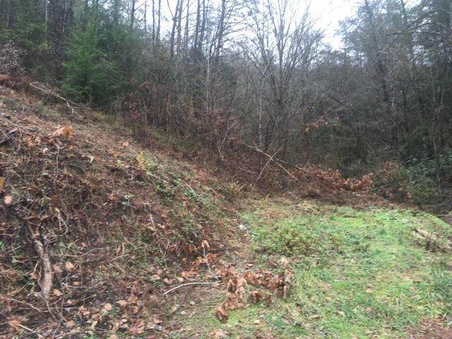 Lot 59 Wintergreen Dr - Photo 1