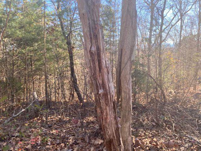 Lot 33 Woodchuck Dr - Photo 1