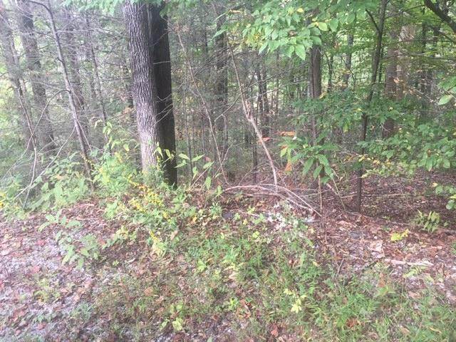 Lot 60 Wintergreen Dr - Photo 1
