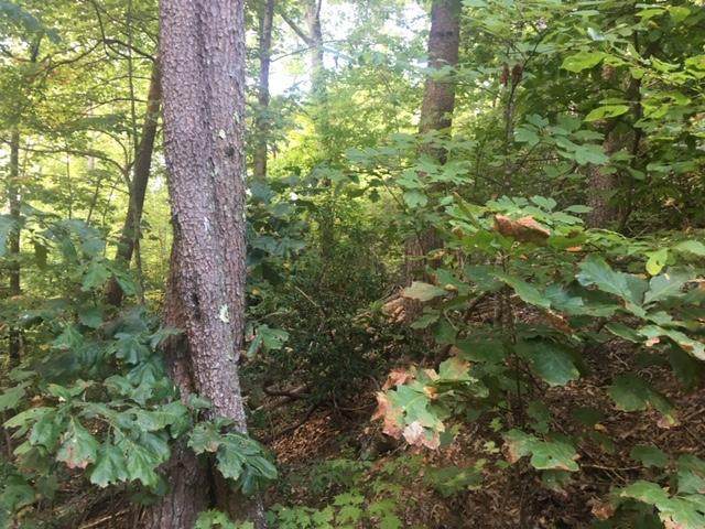 Lot 34 Woodchuck Dr - Photo 1