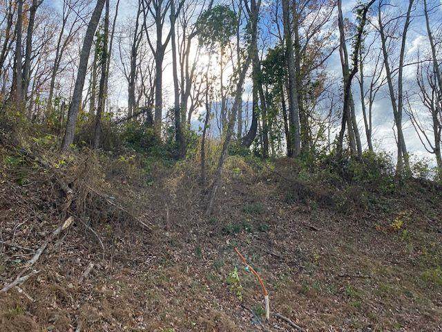 Lot 61 Wintergreen Dr - Photo 1