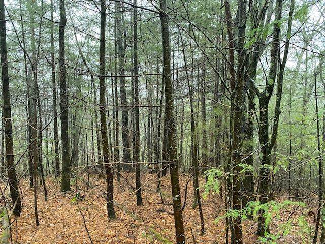 Lot 38 Woodchuck Dr - Photo 1