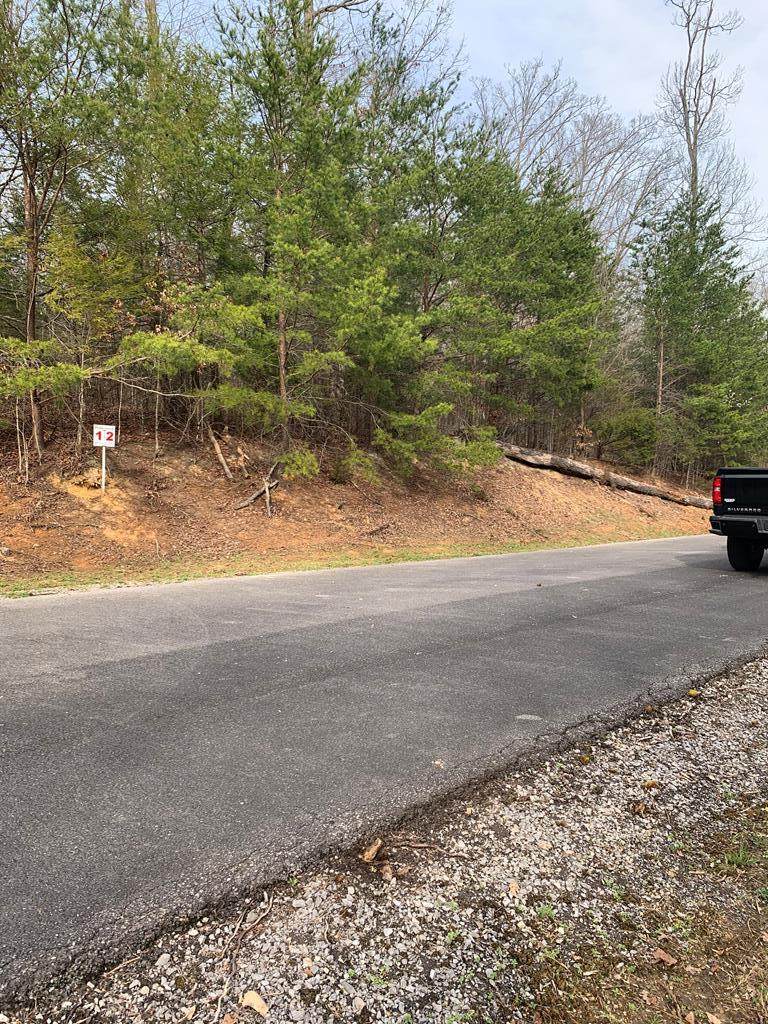 LOT 2 Timber Trail - Photo 1