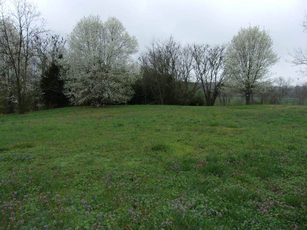 LOT 84 Longview - Photo 1