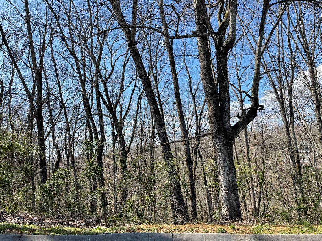 LOT # 12 Maggie Mack Lane - Photo 1