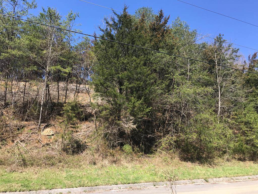 Lots 7&8 Megan Ridge Drive - Photo 1