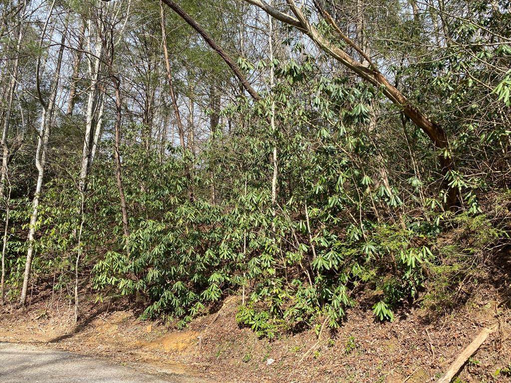 Lot 08 Palmer Road - Photo 1