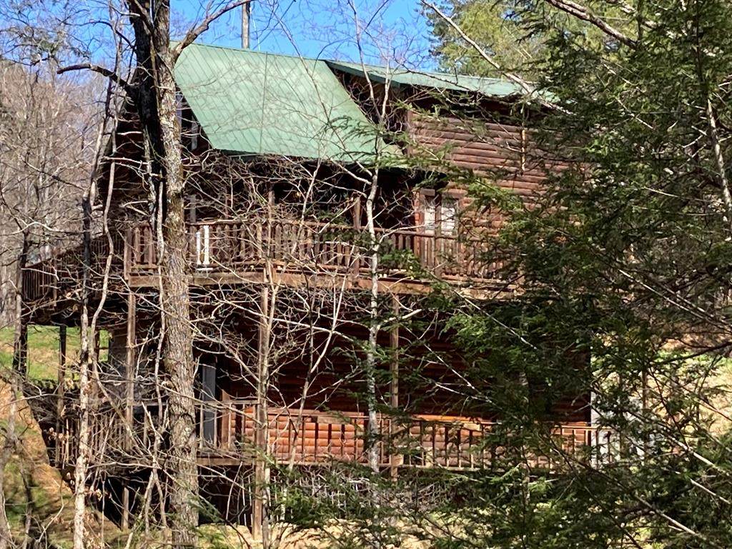 2924 Pine Haven - Photo 1
