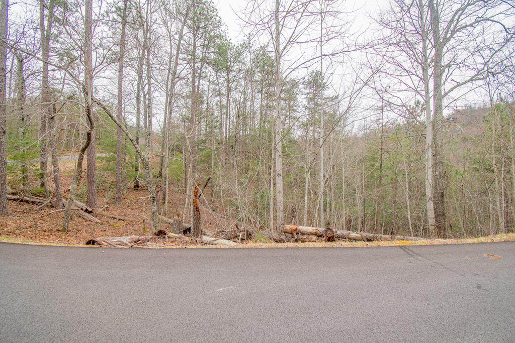 Lot 16 Misty Shadows Drive - Photo 1