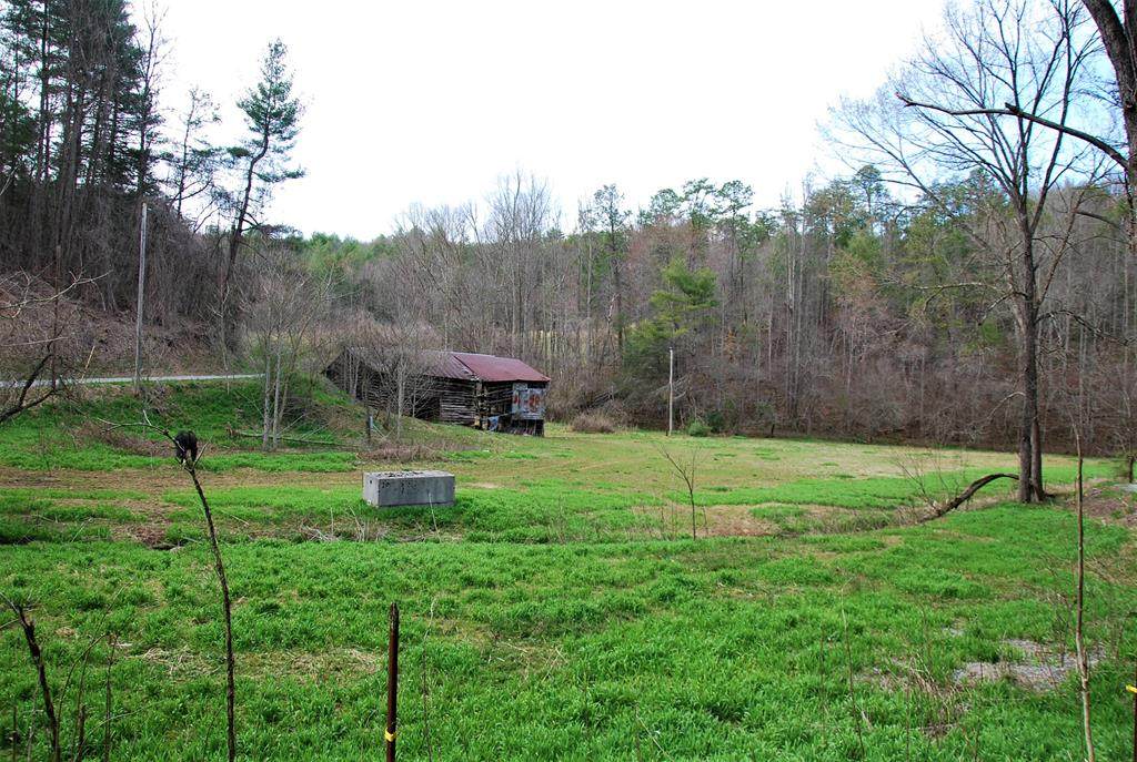 798 Bug Branch Road - Photo 1