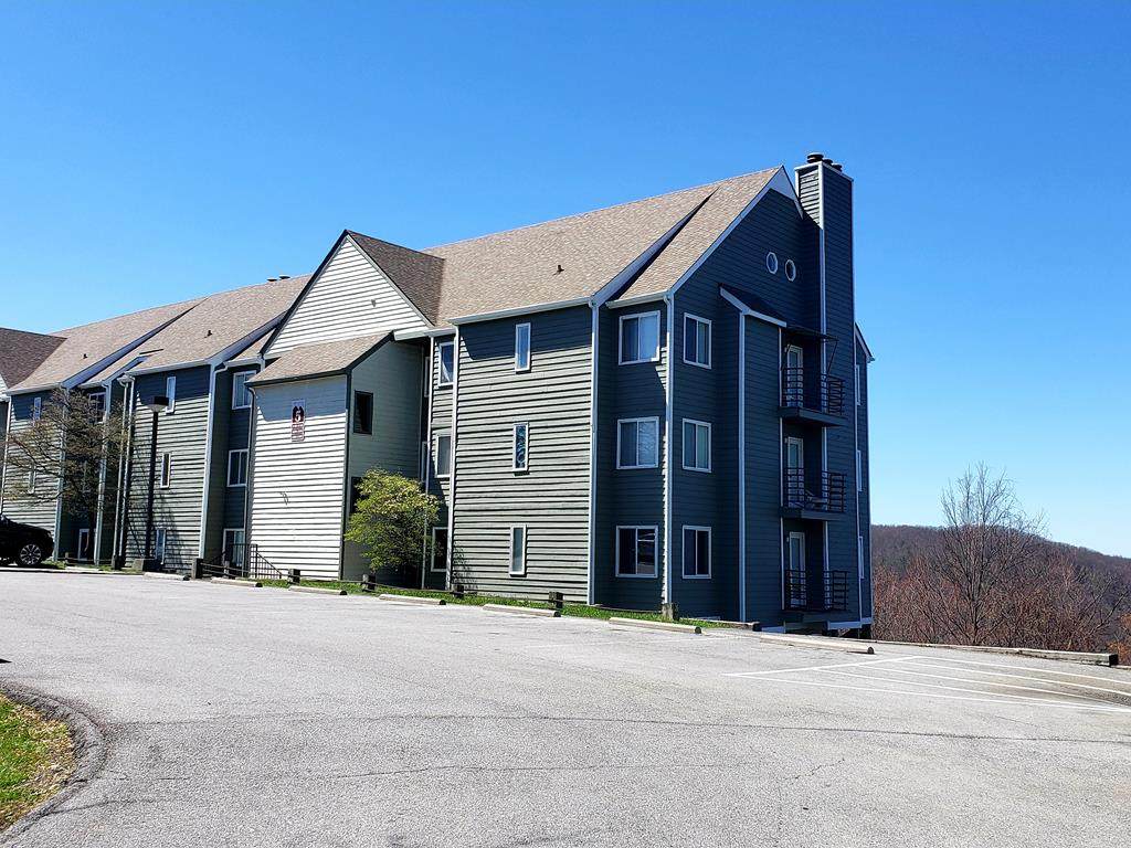 1260 Ski View - Photo 1