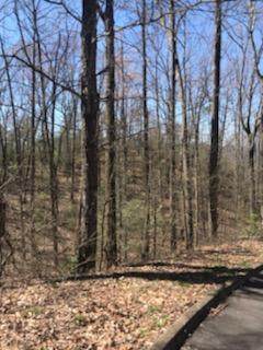 Lot 13 Lexy Ln. - Photo 1