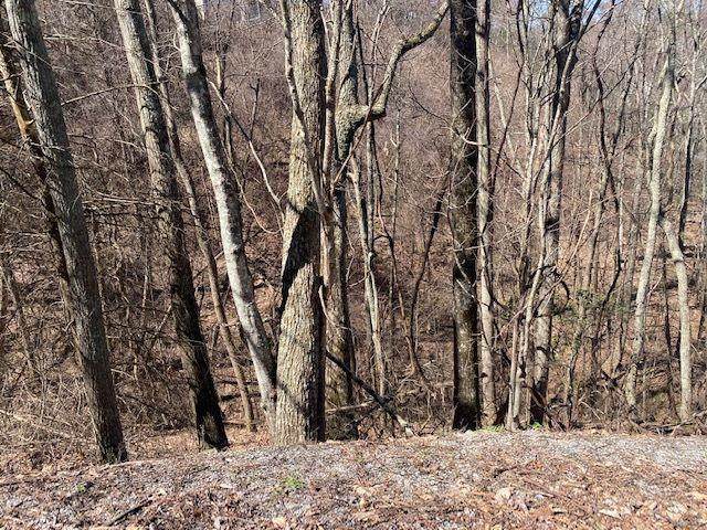 Lot 29 St Moritz Ct - Photo 1